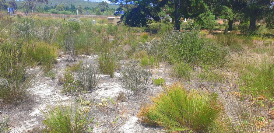  Bedroom Property for Sale in Albertinia Western Cape